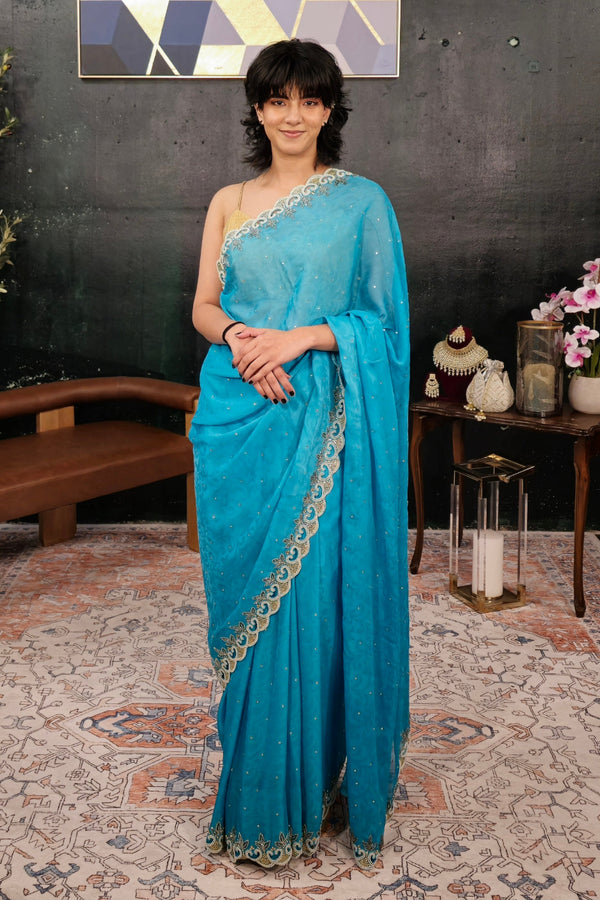 Light Blue Pearl-Sequins Embroidery Saree