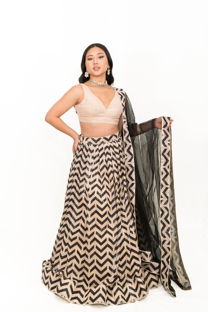 Black Chevron Embroidery Lehenga