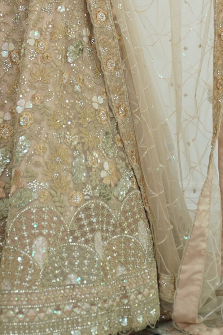 Blush Pink butterfly Lehenga