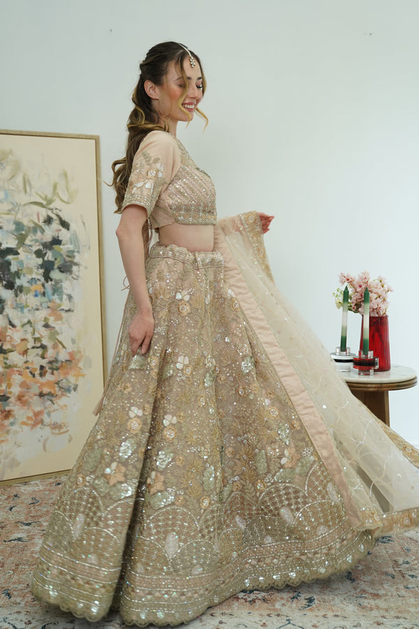 Blush Pink butterfly Lehenga