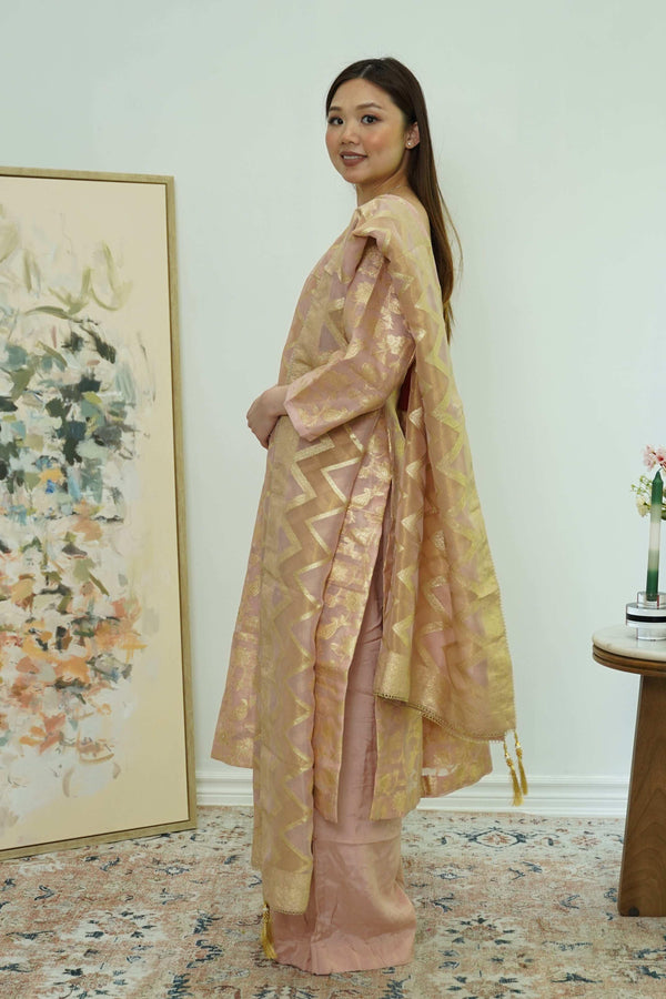 Champagne Glint Banarasi Salwar Kameez (Outside Ontario) - myethnicrentals