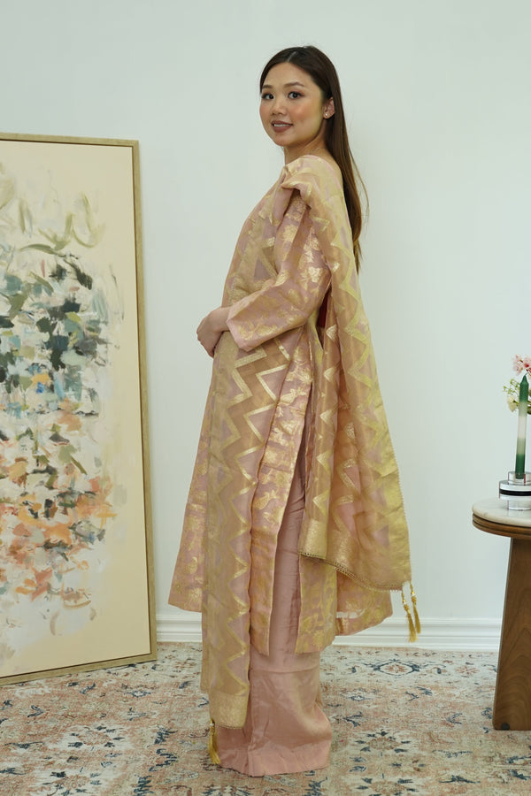 Champagne Glint Banarasi Salwar Kameez