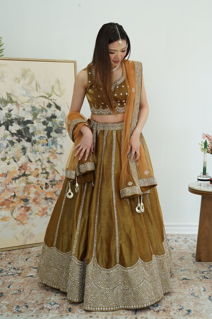 Golden Bronze Shimmer Lehenga Set