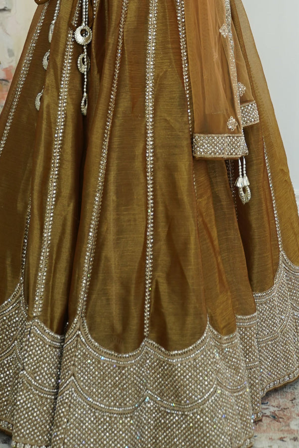 Golden Bronze Shimmer Lehenga Set