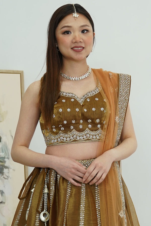 Golden Bronze Shimmer Lehenga Set