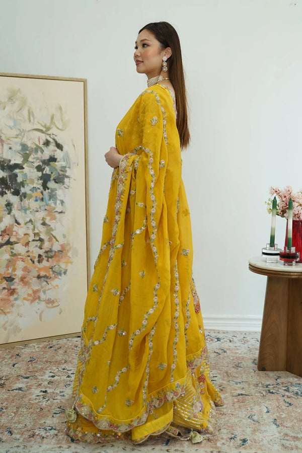 Sunlit Mirror-Work Lehenga Set (Outside Ontario) - myethnicrentals