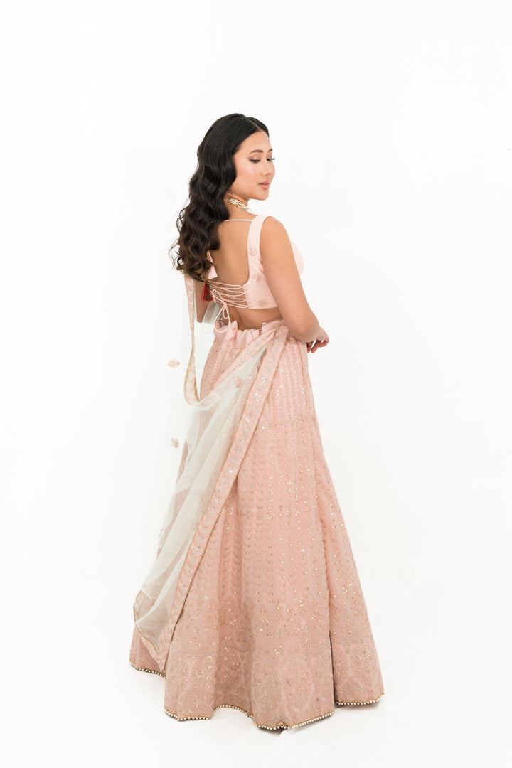 Blush pink lucknowavi work LEHENGA