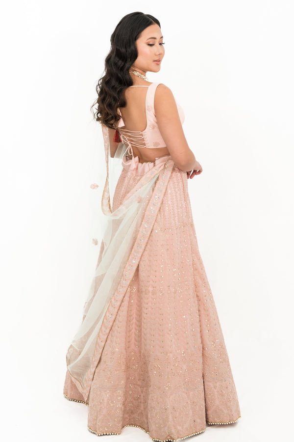 Blush pink lucknowavi work LEHENGA