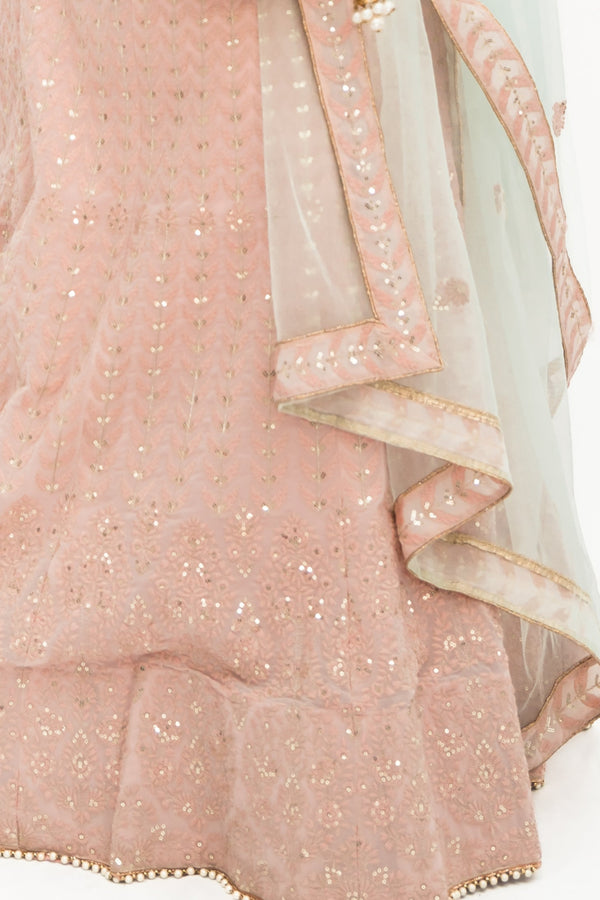 Blush pink lucknowavi work LEHENGA