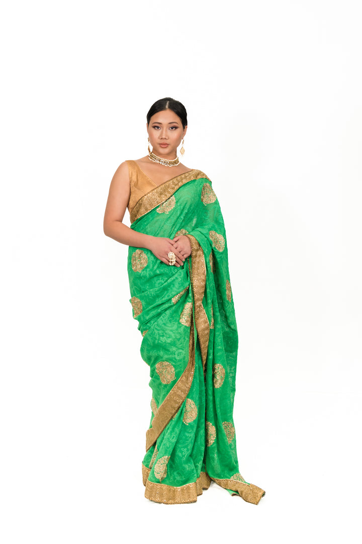 Sage Green Embroidery Saree