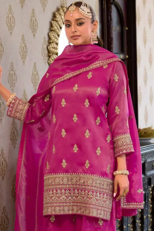 Rani Pink Mirror & Zari Salwar Kameez