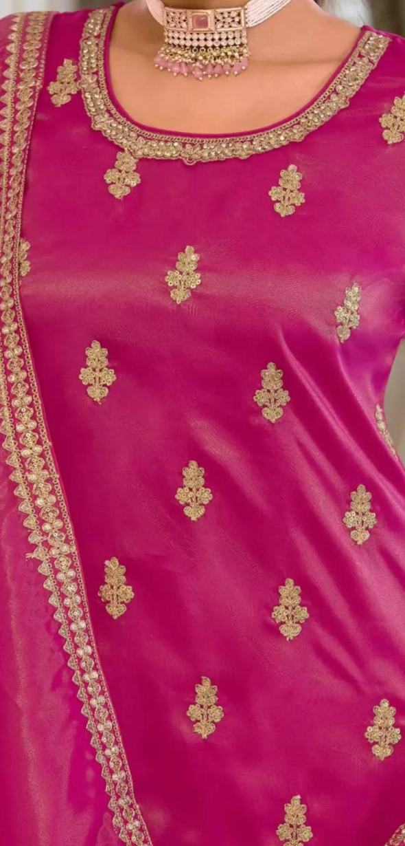 Rani Pink Mirror & Zari Salwar Kameez