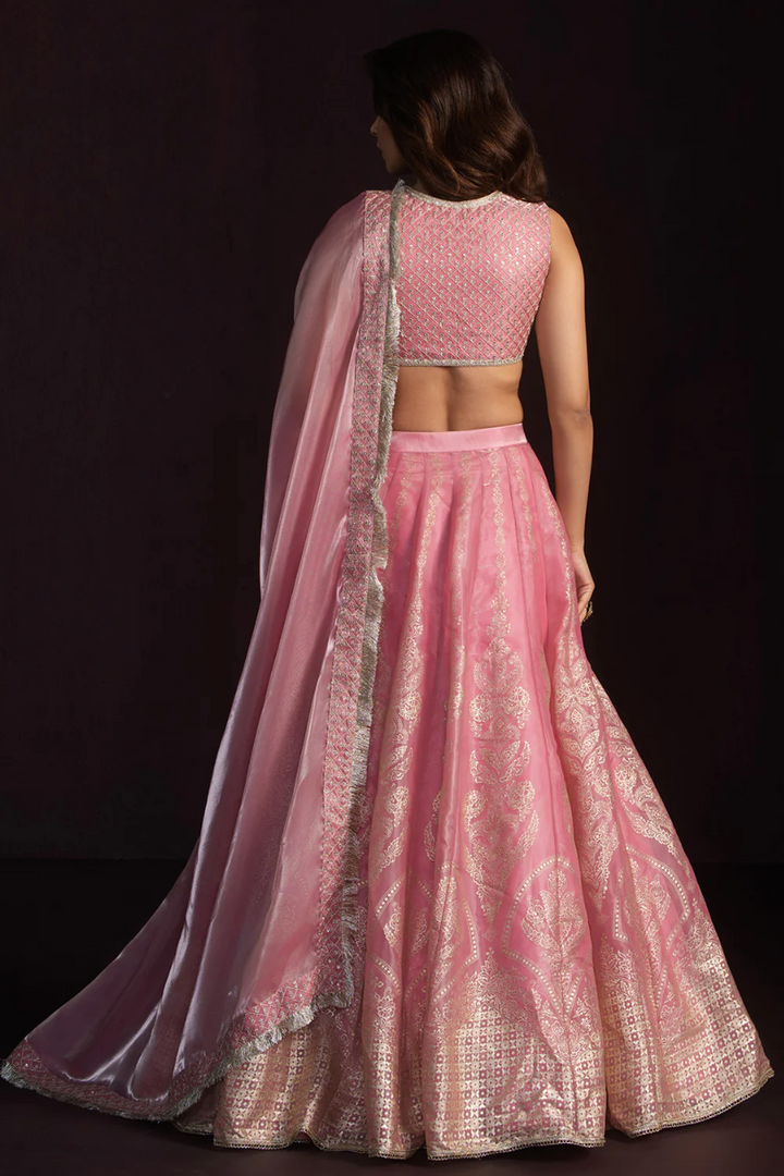 Blush Pink Embroidered Organza Lehenga