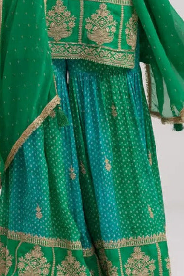 Olive Bandhani Chinon Salwar Kameez