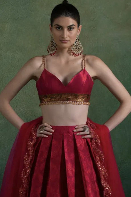 Fuchsia Red Brocade Embroidered Lehenga