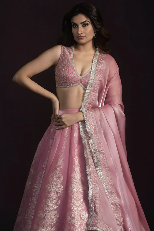Blush Pink Embroidered Organza Lehenga