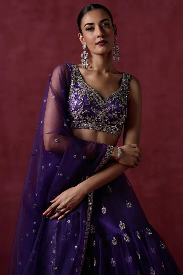 Plum Purple Embroidered Net Lehenga