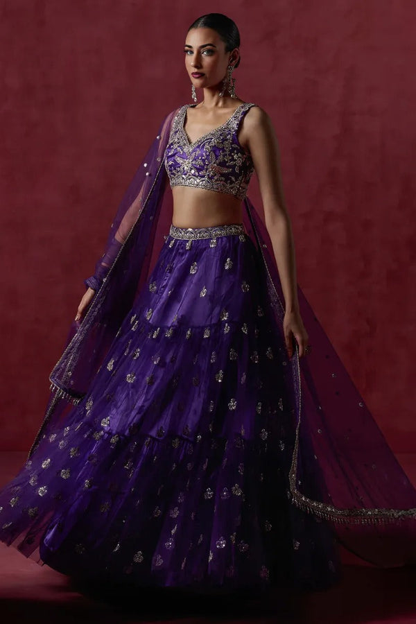 Plum Purple Embroidered Net Lehenga