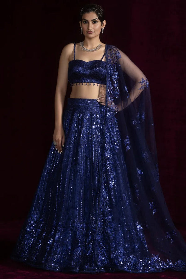 Midnight Navy Embroidered Net Lehenga